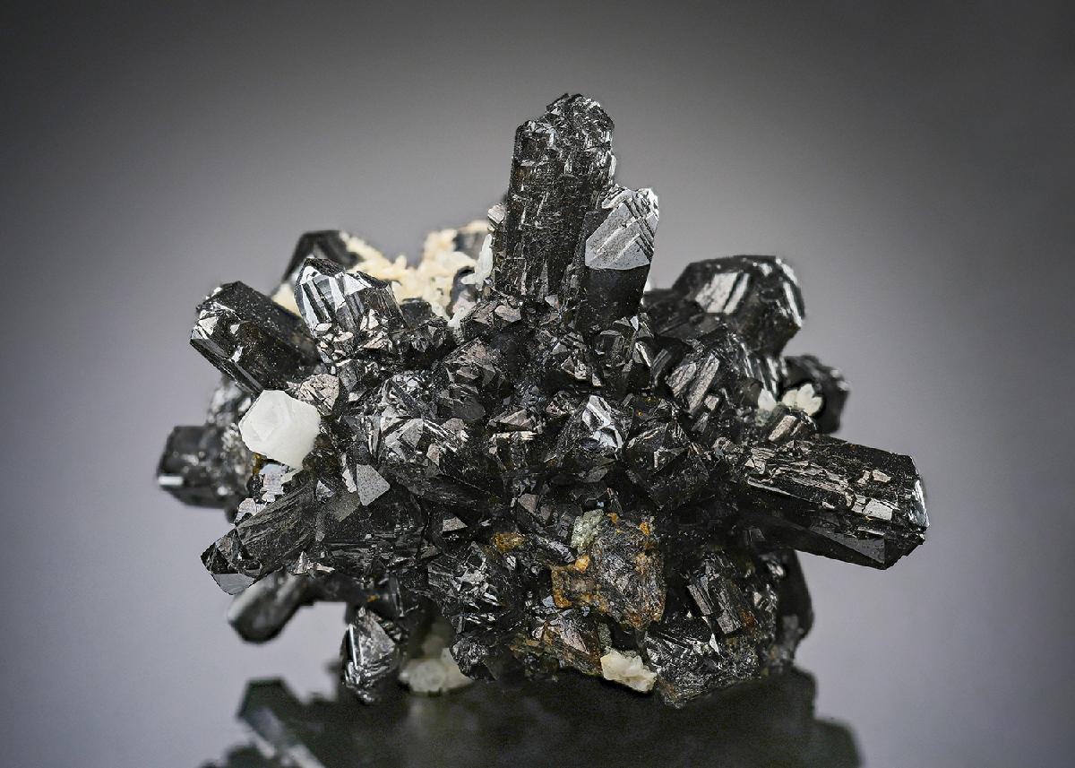 CC20034 specimen image