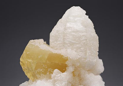 CC20036 specimen image