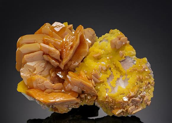 CC20045 specimen image