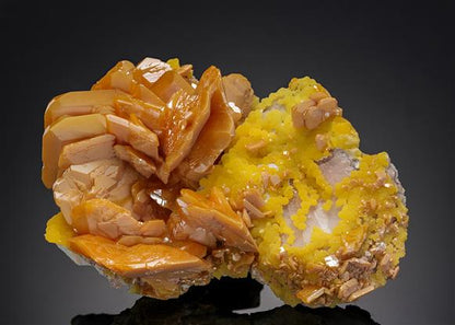 CC20045 specimen image