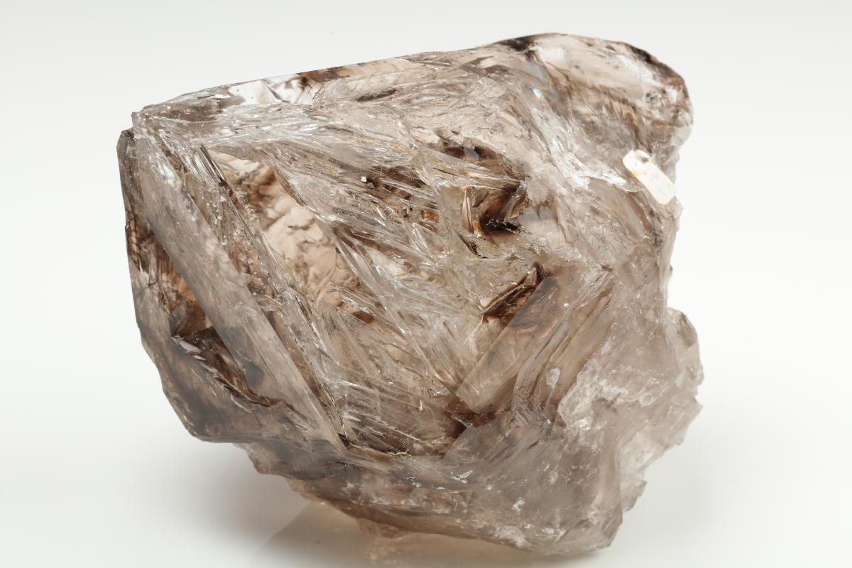 CC20059 specimen image