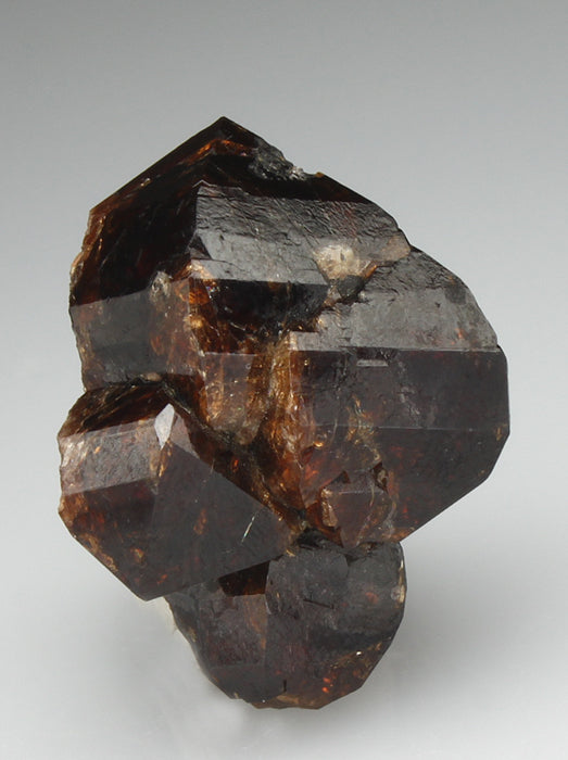 CC2006 specimen image