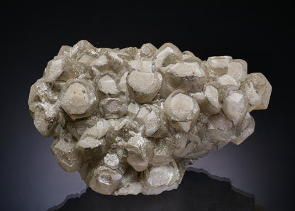 CC20062 specimen image