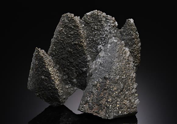 CC20065 specimen image