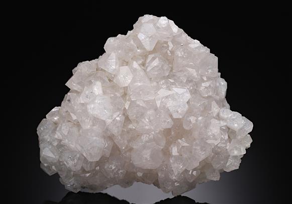 CC20068 specimen image