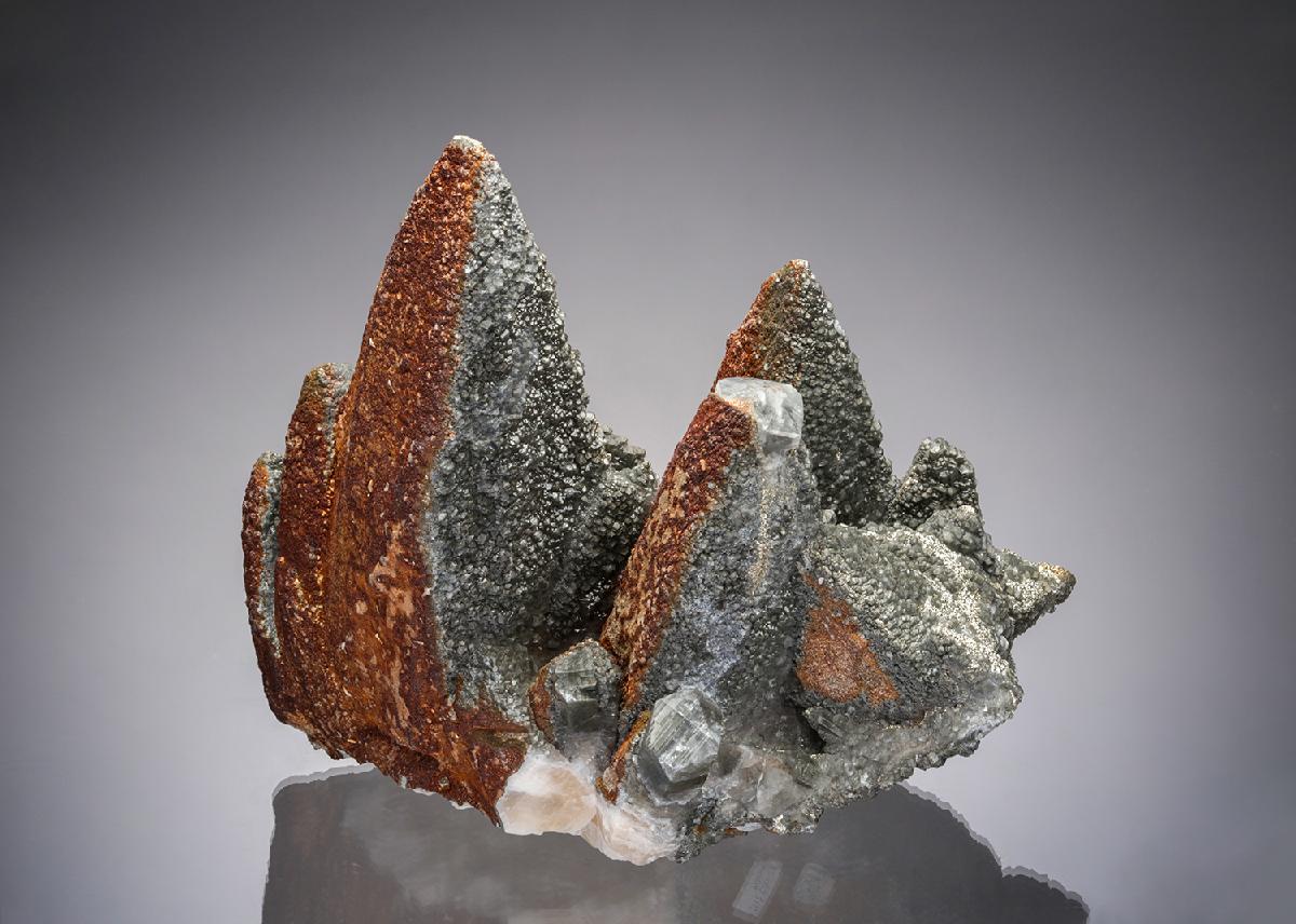 CC20070 specimen image