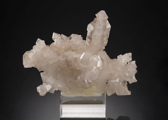CC20079 specimen image