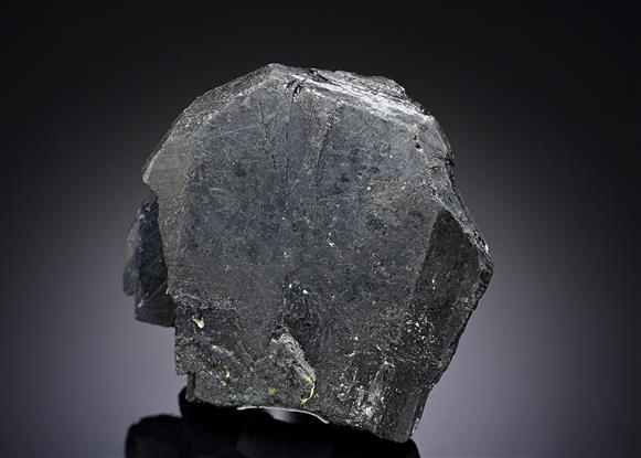 CC20080 specimen image