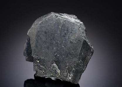 CC20080 specimen image
