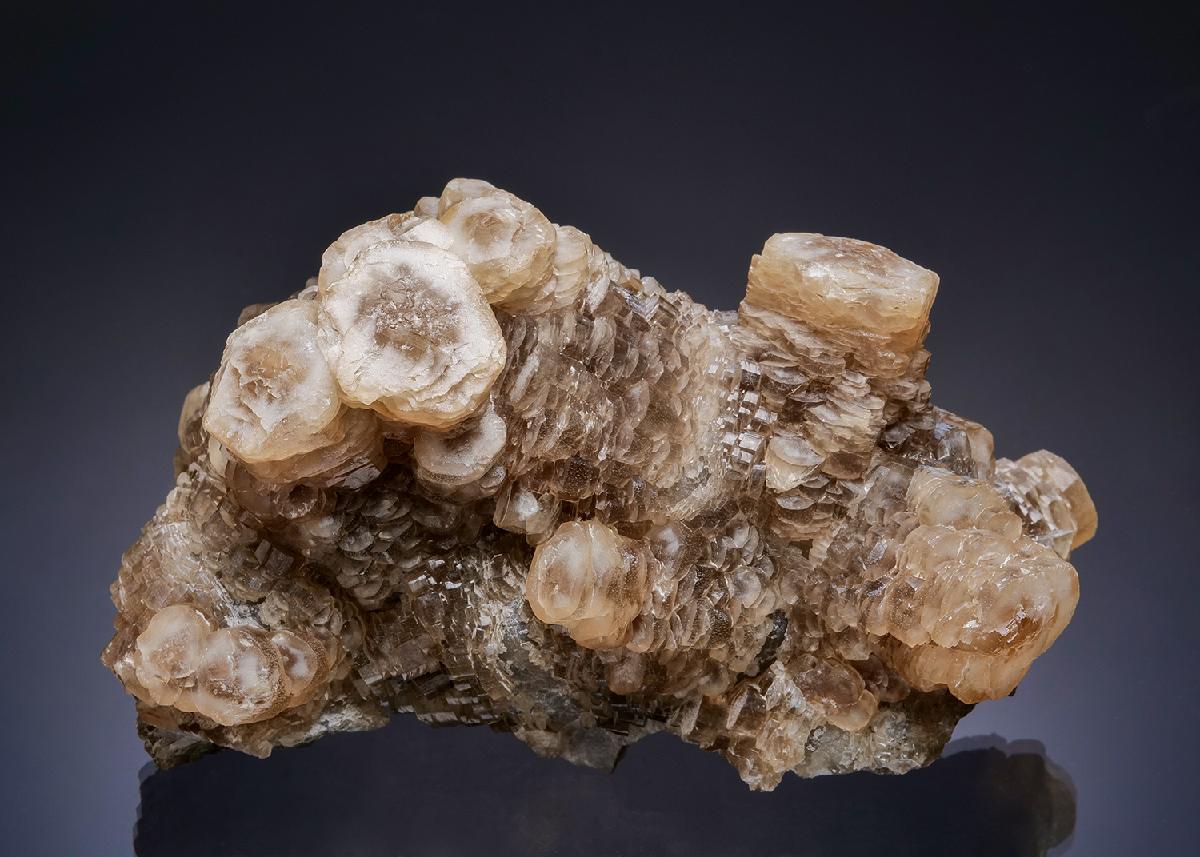 CC20082 specimen image