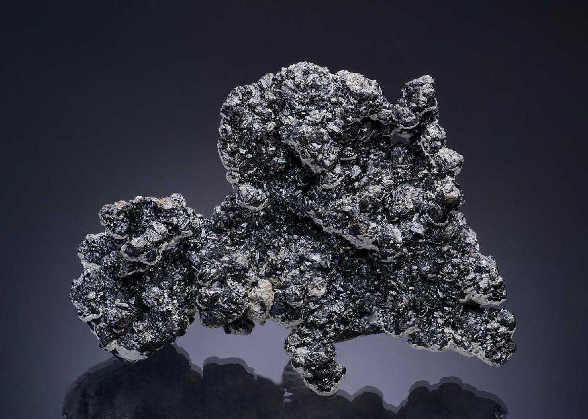 CC20087 specimen image
