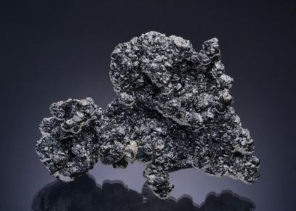 CC20087 specimen image