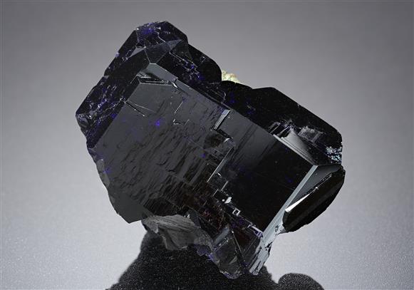 CC20092 specimen image