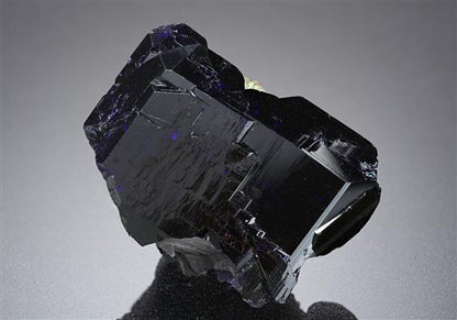 CC20092 specimen image