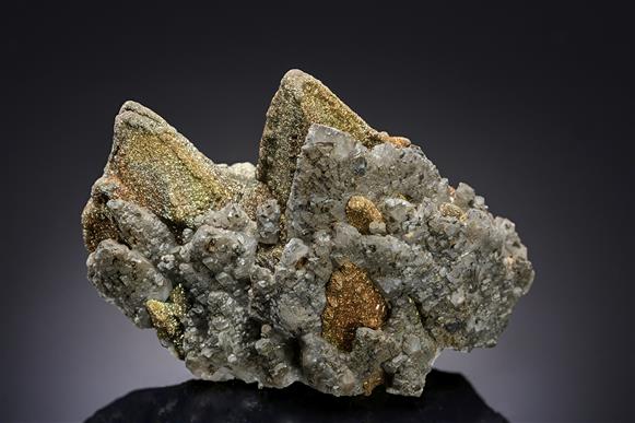 CC20093 specimen image