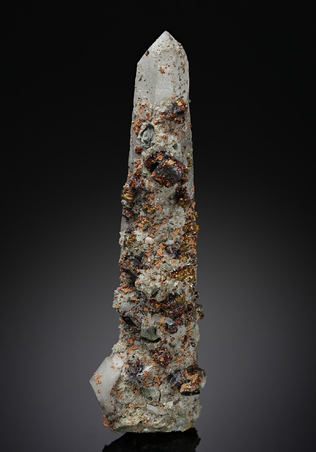 CC20098 specimen image