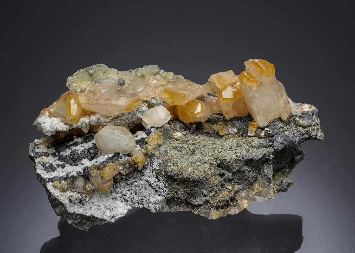 CC20105 specimen image