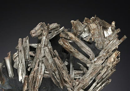 CC20107 specimen image