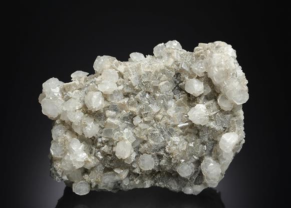CC20108 specimen image