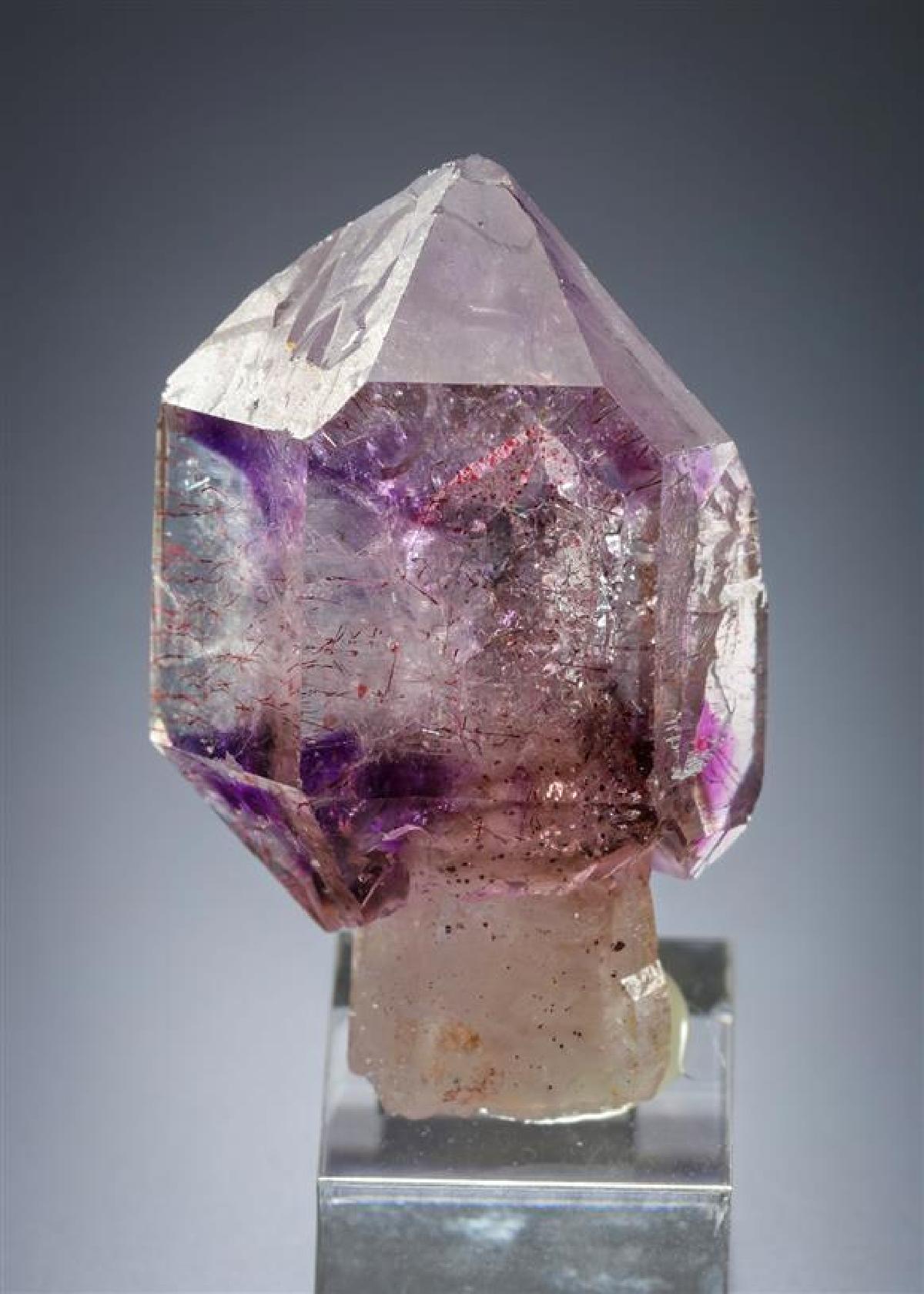 CC20120 specimen image