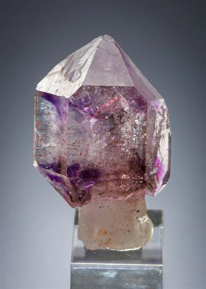CC20120 specimen image