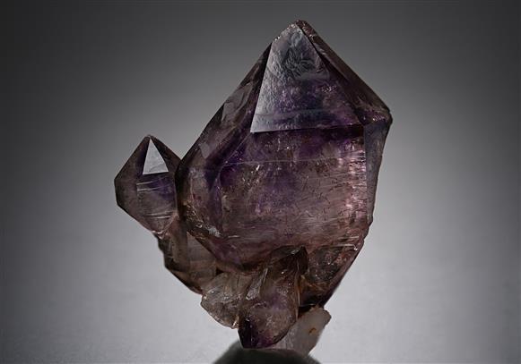 CC20124 specimen image