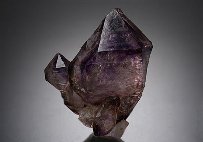 CC20124 specimen image