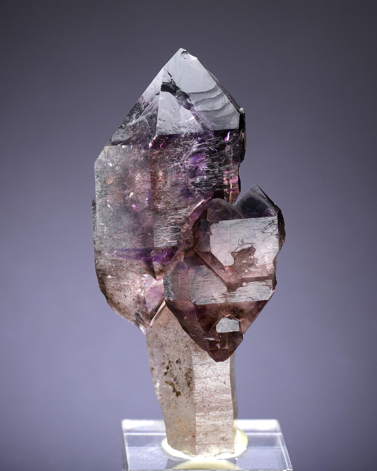CC20128 specimen image