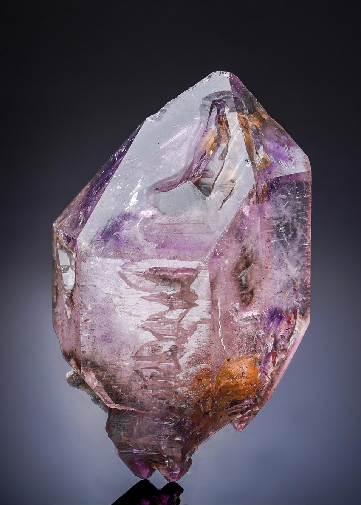 CC20132 specimen image