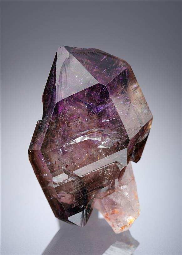 CC20134 specimen image