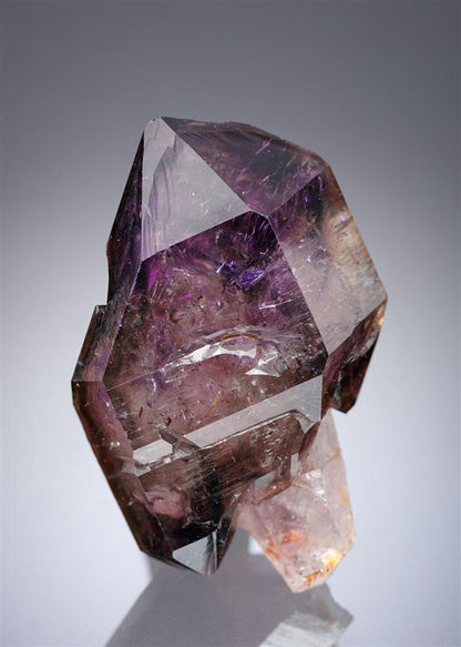 CC20134 specimen image