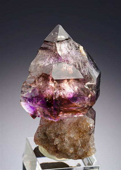 CC20137 specimen image