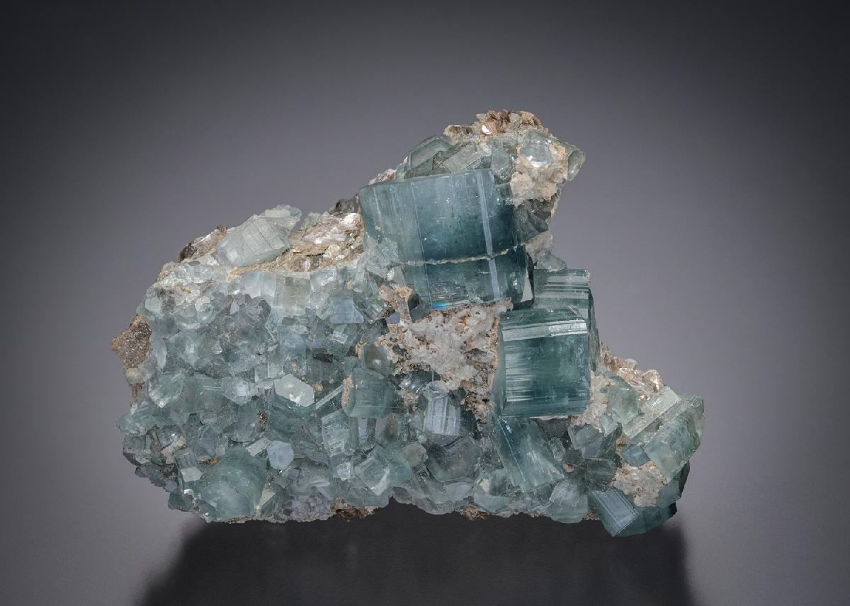 CC2014 specimen image