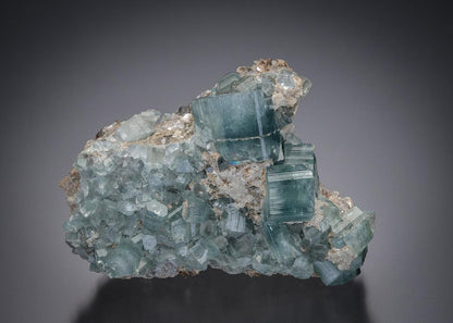 CC2014 specimen image