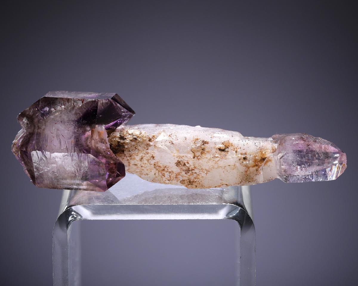 CC20141 specimen image