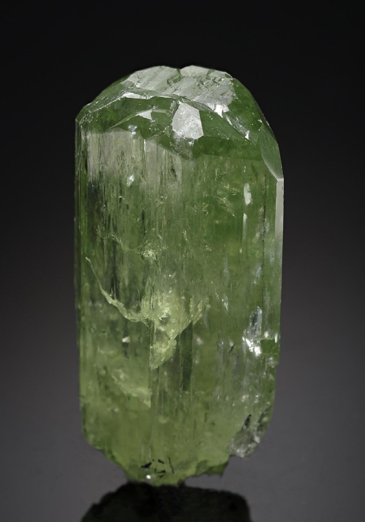 CC20143 specimen image