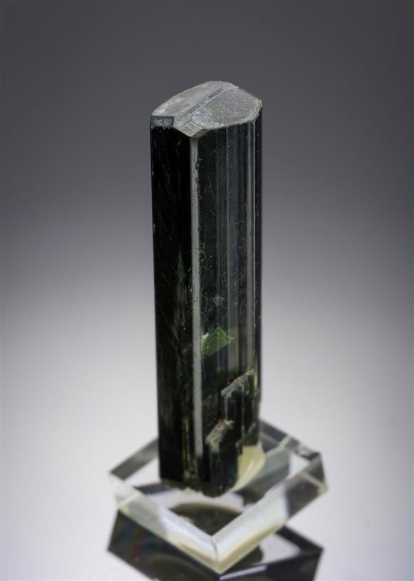 CC20144 specimen image