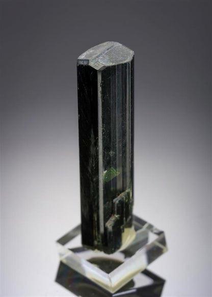 CC20144 specimen image