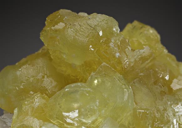 CC20145 specimen image
