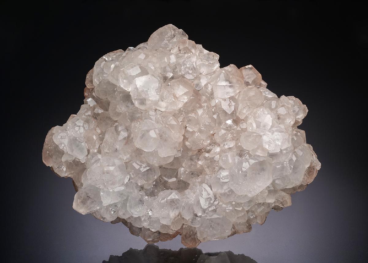 CC20146 specimen image