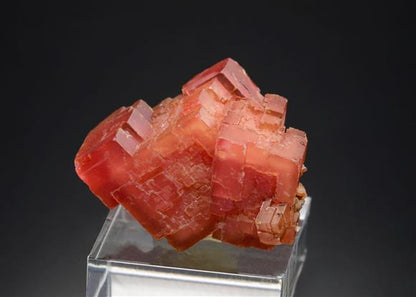 CC20149 specimen image