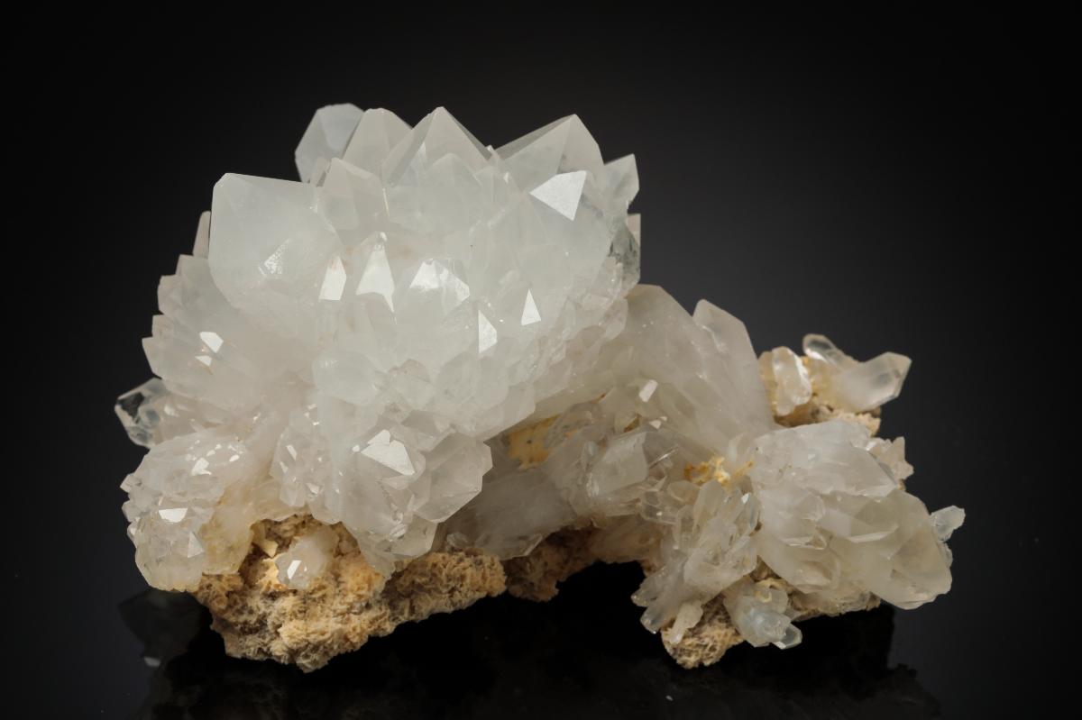 CC20164 specimen image