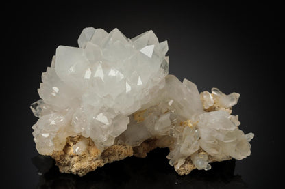 CC20164 specimen image