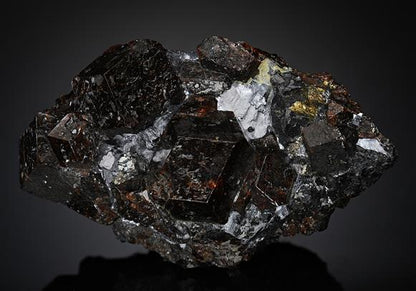 CC20167 specimen image