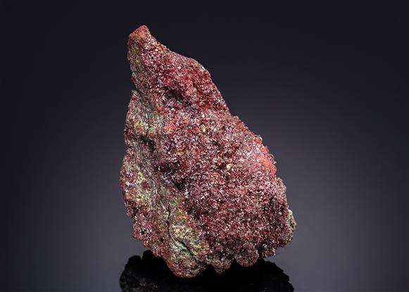CC20172 specimen image