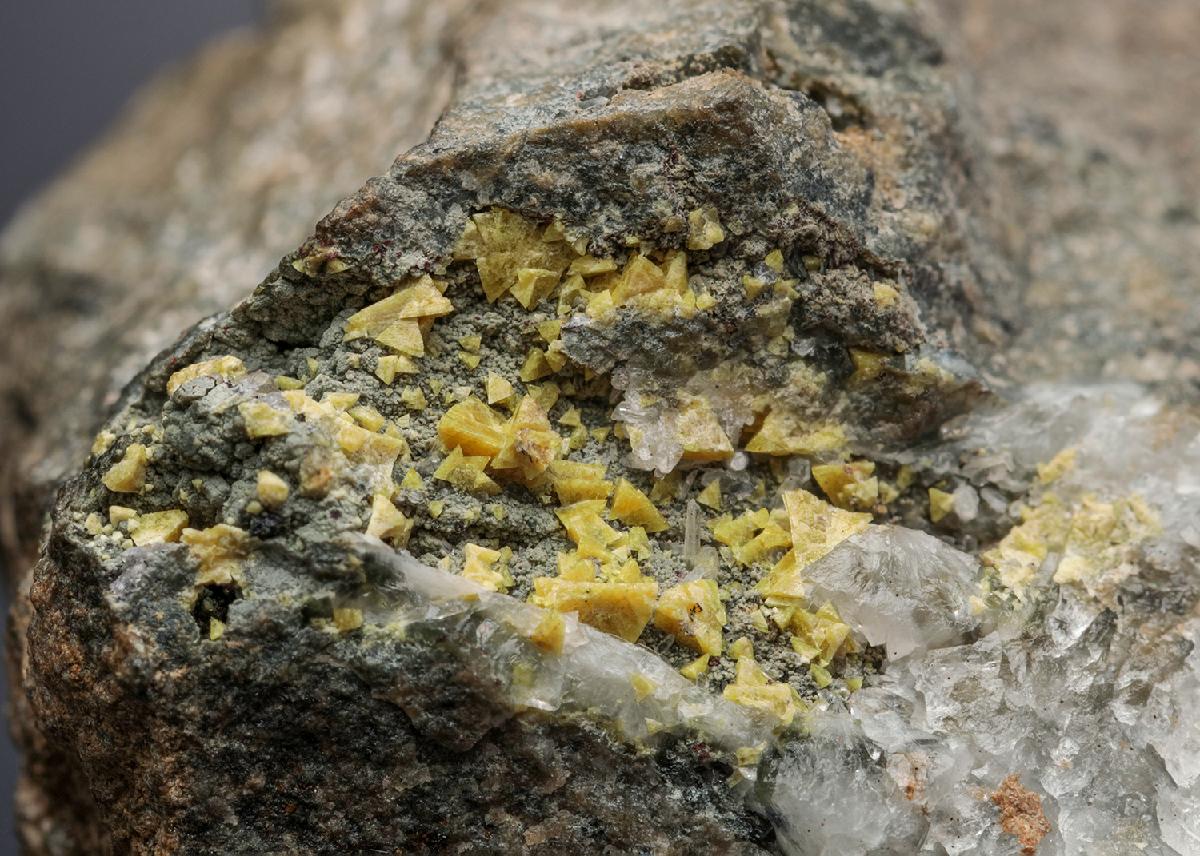 CC20188 specimen image