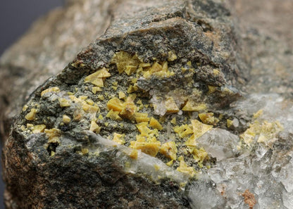 CC20188 specimen image