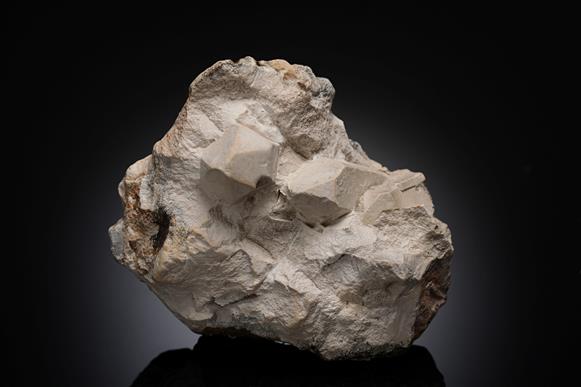 CC20189 specimen image