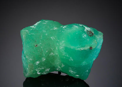 CC20190 specimen image