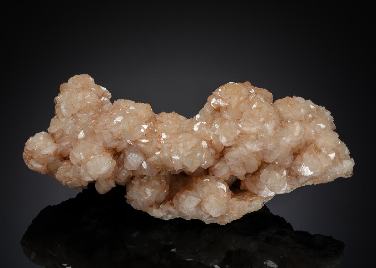 CC20191 specimen image